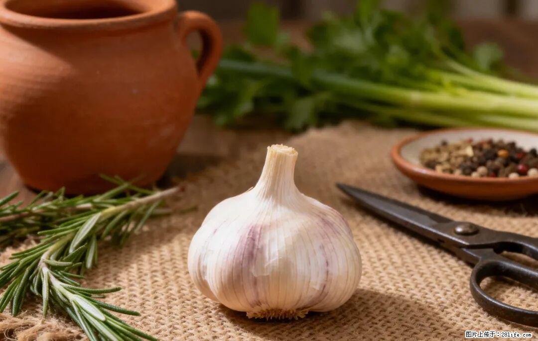 关于大蒜，除了“天然抗生素”，这4个谣言更该警惕! - 盐城生活资讯 - 盐城28生活网 yancheng.28life.com