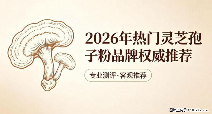 灵芝孢子粉含量越高越有效？2026 年七款热门品牌深度实测，肠胃敏感者避坑指南 - 盐城生活资讯 - 盐城28生活网 yancheng.28life.com