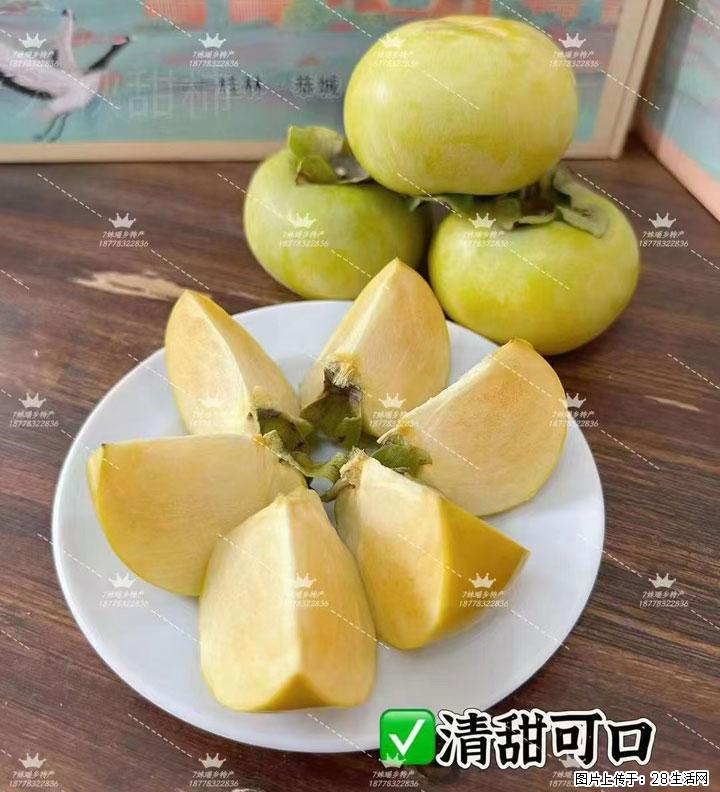 广西桂林平乐桥亭【红心猕猴桃】、【大秋甜柿】上市啦,欢迎各位新老客户下单(另有少量小果出售) - 盐城生活资讯 - 盐城28生活网 yancheng.28life.com